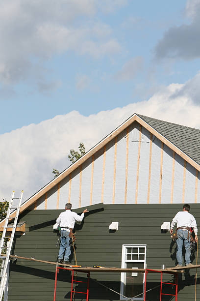 Affordable siding repair and maintenance services in La Joya, TX